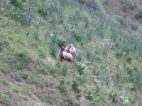 Youri - Ecrins 2005 312 